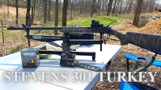 Stevens 301 Turkey 20 Gauge Review Pattern Testing with Federal TSS [upl. by Aicilaf397]