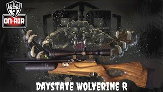 Daystate Wolverine R Review [upl. by Aurore890]