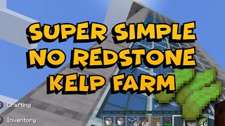 Super Simple Kelp Farm  No Redstone  Minecraft Bedrock [upl. by Telrahc]