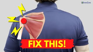 How to Fix Shoulder Snapping and Pop Sounds NO EQUIPMENT [upl. by Booze]