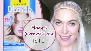 Haare blondieren ohne Gelbstich  Follow me around Teil 1 [upl. by Toddy301]