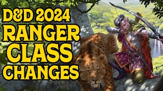 Ranger Class Changes in DampD 2024 [upl. by Baskett]