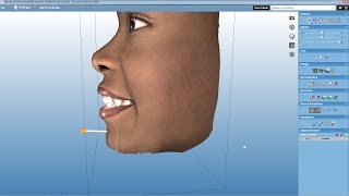 Planmeca ProFace Shaping tool [upl. by Ethelda724]