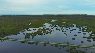 Trinidad  Columbus Bay amp Icacos Wetlands [upl. by Coppinger]