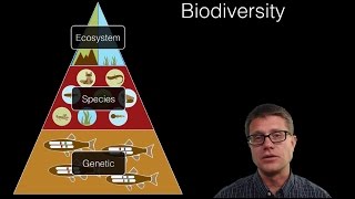 Ecosystem Diversity [upl. by Ahsinra342]