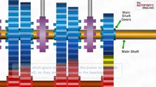 How Car Transmission System Works [upl. by Knuth]