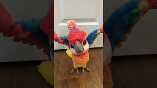 Hasbro FurReal Friends RockaToo Interactive The Show Bird Demo Parrot [upl. by Earissed788]