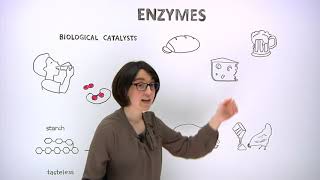 What are enzymes [upl. by Ahsinod878]