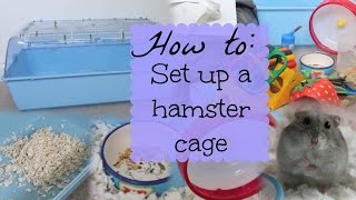 How to SET UP A HAMSTER CAGE  Hamster HorsesandCats [upl. by Dnaletak]