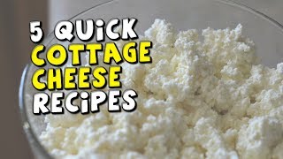 5 Quick Cottage Cheese Recipes [upl. by Bouldon9]