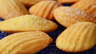 Madeleines Recipe Demonstration  Joyofbakingcom [upl. by Eiclehc]