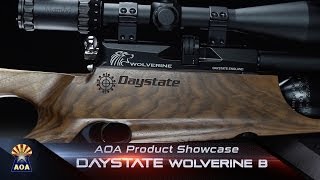 Daystate Wolverine B 22 Air Rifle Product Showcase [upl. by Budde]