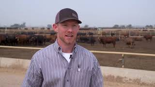 Five Rivers Feedyard [upl. by Belshin624]