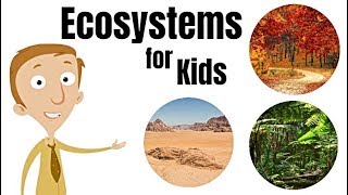 Ecosystems for Kids [upl. by Blumenfeld]