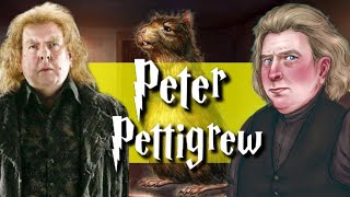 The Entire Life Of Peter Pettigrew Harry Potter Explained [upl. by Narmis]