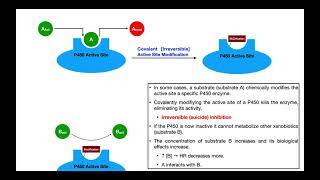 Basics of Drug Interactions EXPLAINED  Inhibition amp Induction [upl. by Westland]