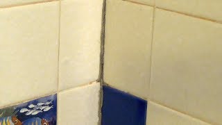 How to Clean Shower Tile with Bleach [upl. by Domingo]