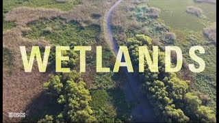 What makes a wetland a wetland Part 1 [upl. by Alleras]