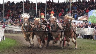 Römerwagenrennen Titanen der Rennbahn Brück 2362018 [upl. by Nibbs]