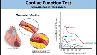 How is Your Assay Performing Biomarker Validation BestPractices [upl. by Maire]