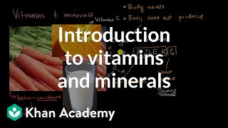 Introduction to vitamins and minerals  Biology foundations  High school biology  Khan Academy [upl. by Spalding]