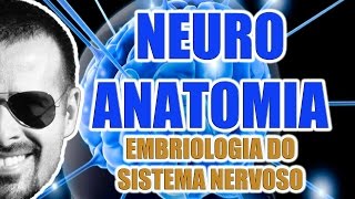 Embriologia do Sistema Nervoso Central e Periférico  Neuroanatomia  VideoAula 069 [upl. by Orodoet437]