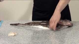 How to skin and fillet a Monkfish  208 [upl. by Bernj494]