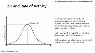 Chapter 32 Factors that Affect Enzyme Activity [upl. by Akkeber]