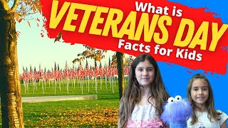 Why Do We Celebrate Veterans Day  Veterans Day Facts for Kids [upl. by Fine]