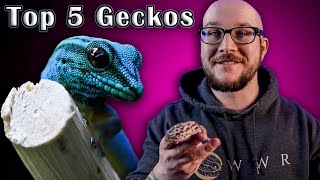 Top 5 BEST Pet Geckos [upl. by Novhaj]