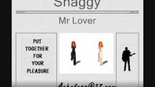 Shaggy  Mr Lover [upl. by Atok]