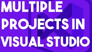 How To WORK With MULTIPLE PROJECTS In Visual Studio [upl. by Aissak441]