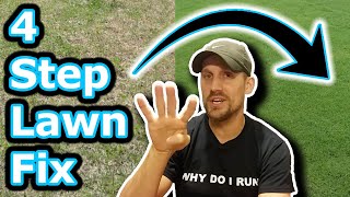 Beginner Lawn Care Tips  How To Improve Your Lawn in 4 Easy Steps  Lawn Motivation [upl. by Myer604]