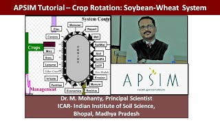 APSIM Model Tutorial  Crop Rotation  Soybeanwheat cropping system [upl. by Onitram]