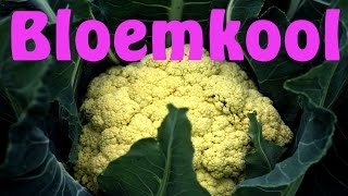 Bloemkool kweken [upl. by Noemis]