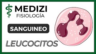 Clase 33 Fisiología Sanguínea  Leucocitos e Inflamación IGdoctorpaiva [upl. by Lunsford805]