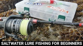 SALTWATER LURE FISHING FOR BEGINNERS  WHERE TO START SEA FISHING UK [upl. by Stich201]