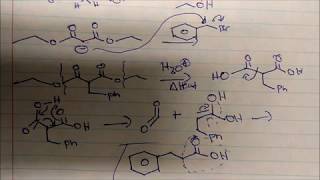 Malonic Ester Synthesis Reactions and Mechanism Using Diethyl Malonate [upl. by Iarahs678]