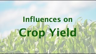 Influences on Crop Yield [upl. by Urissa497]