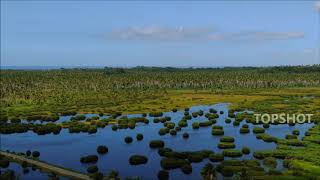 Icacos Wetlands 2018 [upl. by Anita]