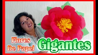 DIY  Como Hacer Flores De Papel Crepe  GIGANTES [upl. by Fontes828]