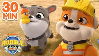 Rubble’s Silly Adventures in Builder Cove W Charger amp MORE  30 Minute Compilation  Rubble amp Crew [upl. by Naehgem]