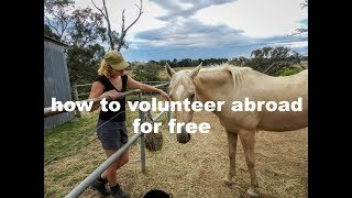 How to volunteer abroad for free [upl. by Euphemie954]