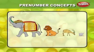 Maths For Class 1  Pre Number Concepts  Learn Maths For Children [upl. by Netsrijk310]