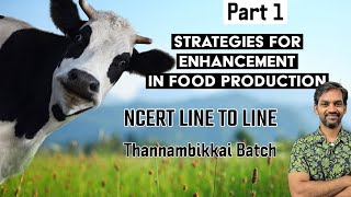 Strategies for enhancement in Food Production  Part 1  NCERT LINE TO LINE  Thannambikkai Batch [upl. by Shipp]