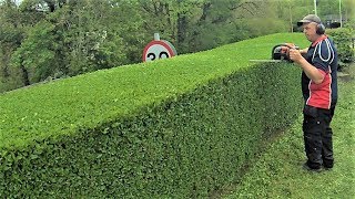 How To Trim A Hedge Level [upl. by Llerot]