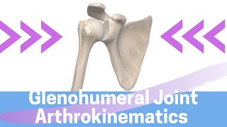 Shoulder Kinesiology Glenohumeral Joint Movement [upl. by Delainey]