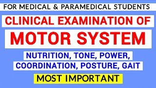 MOTOR SYSTEM EXAMINATION  CLINICAL LAB  PHYSIOLOGY PRACTICALS [upl. by Aevin]