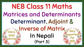 Class 11 Maths  Matrices and Determinants Part 3  Determinant Adjoint and Inverse of Matrix [upl. by Oicor733]