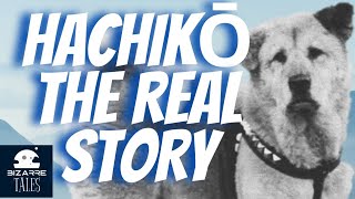 Hachiko  A Heart Touching Tale in English  Stories for Teenagers  EnglishFairyTales [upl. by Louanne]